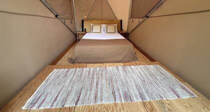 Modern Safari Tent Glamping in Kentucky near Mountain Biking Trails