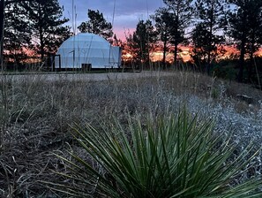 A dome-shaped structure in a natural setting with tall grasses and trees in the background. - Beautiful Dome with Fire Pit in Hermosa, South Dakota (Hermosa)