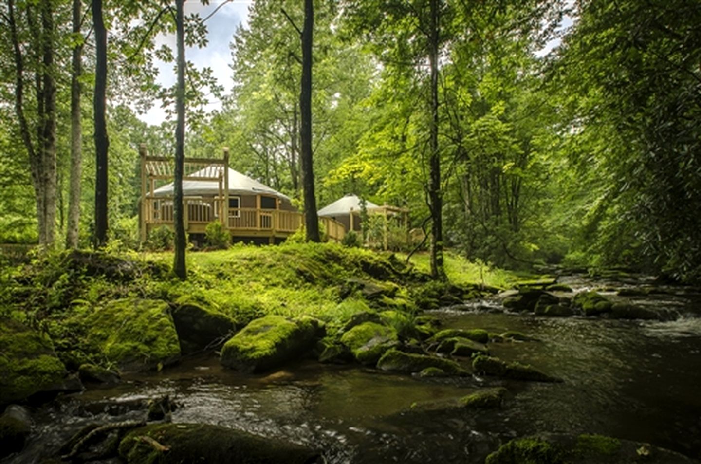 Une cabane au cœur d’une forêt, près d’un ruisseau, entourée d’arbres et de verdure.