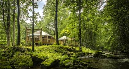 Heavenly Yurt with Modern Interior in Topton, North Carolina