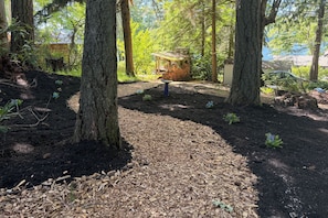A forested area with a small structure, a birdbath, and a path.