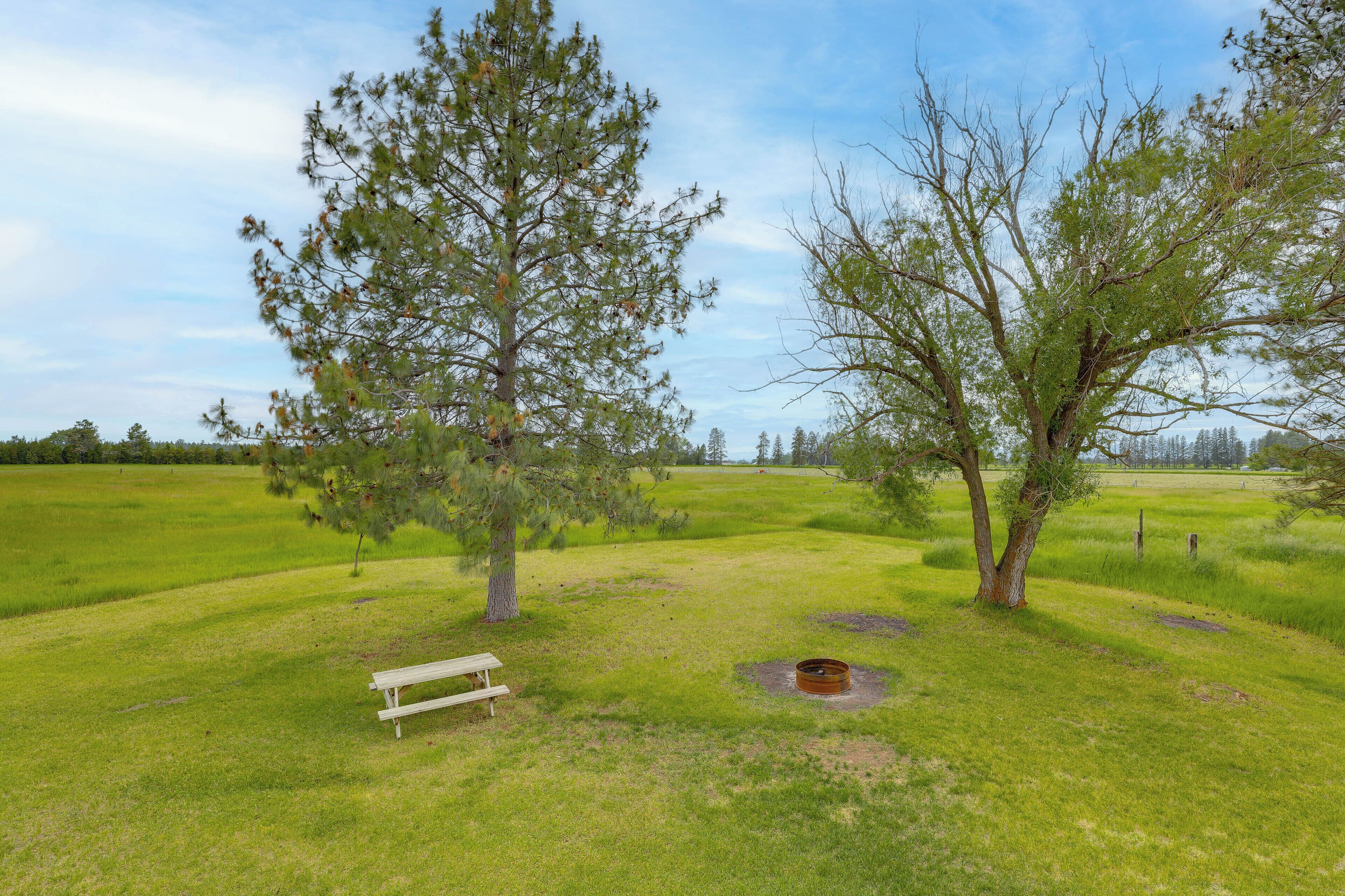 Un campo cubierto de césped con árboles, un banco y un brasero.