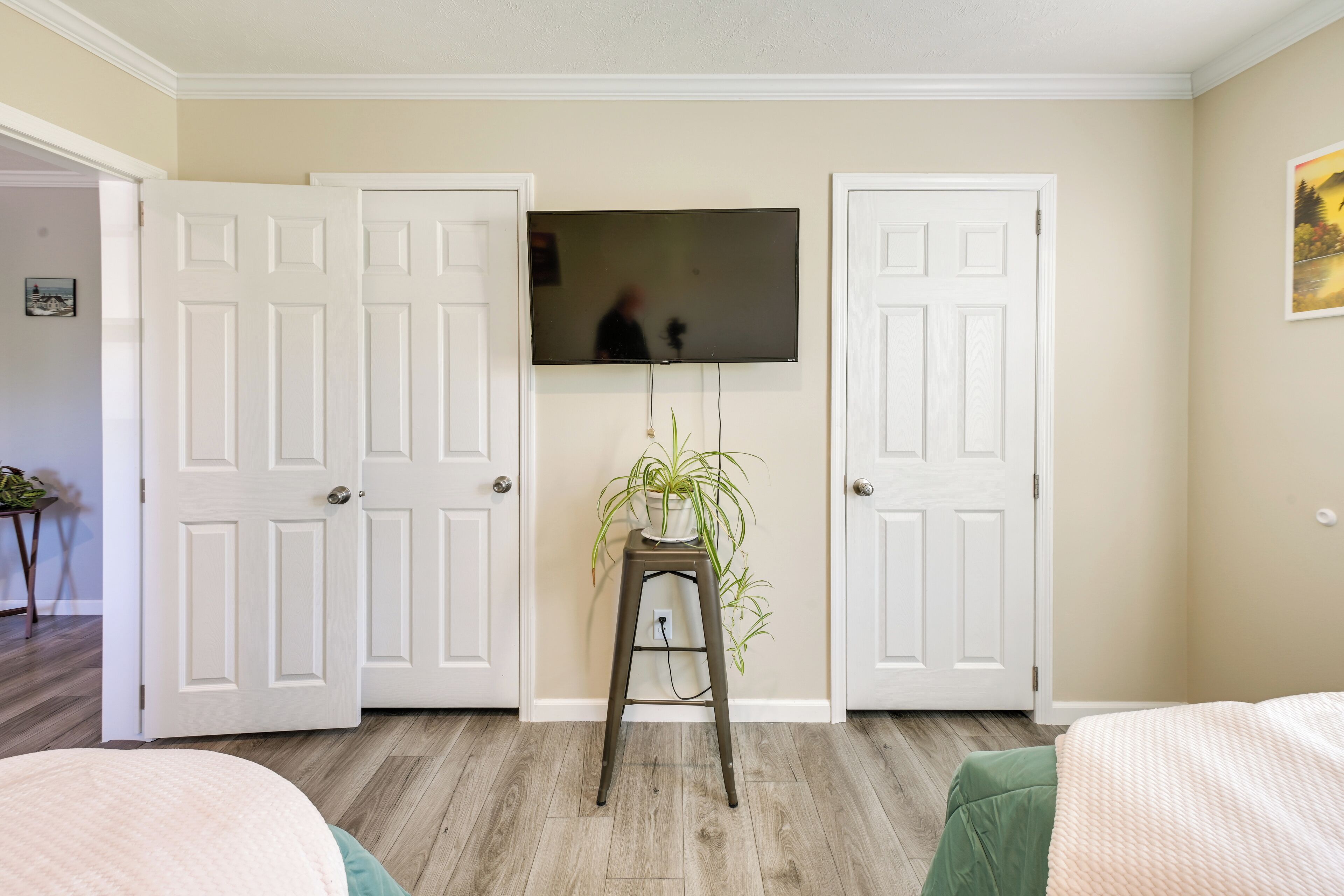 A room with a bed, a television mounted on the wall, and a plant on a small table.