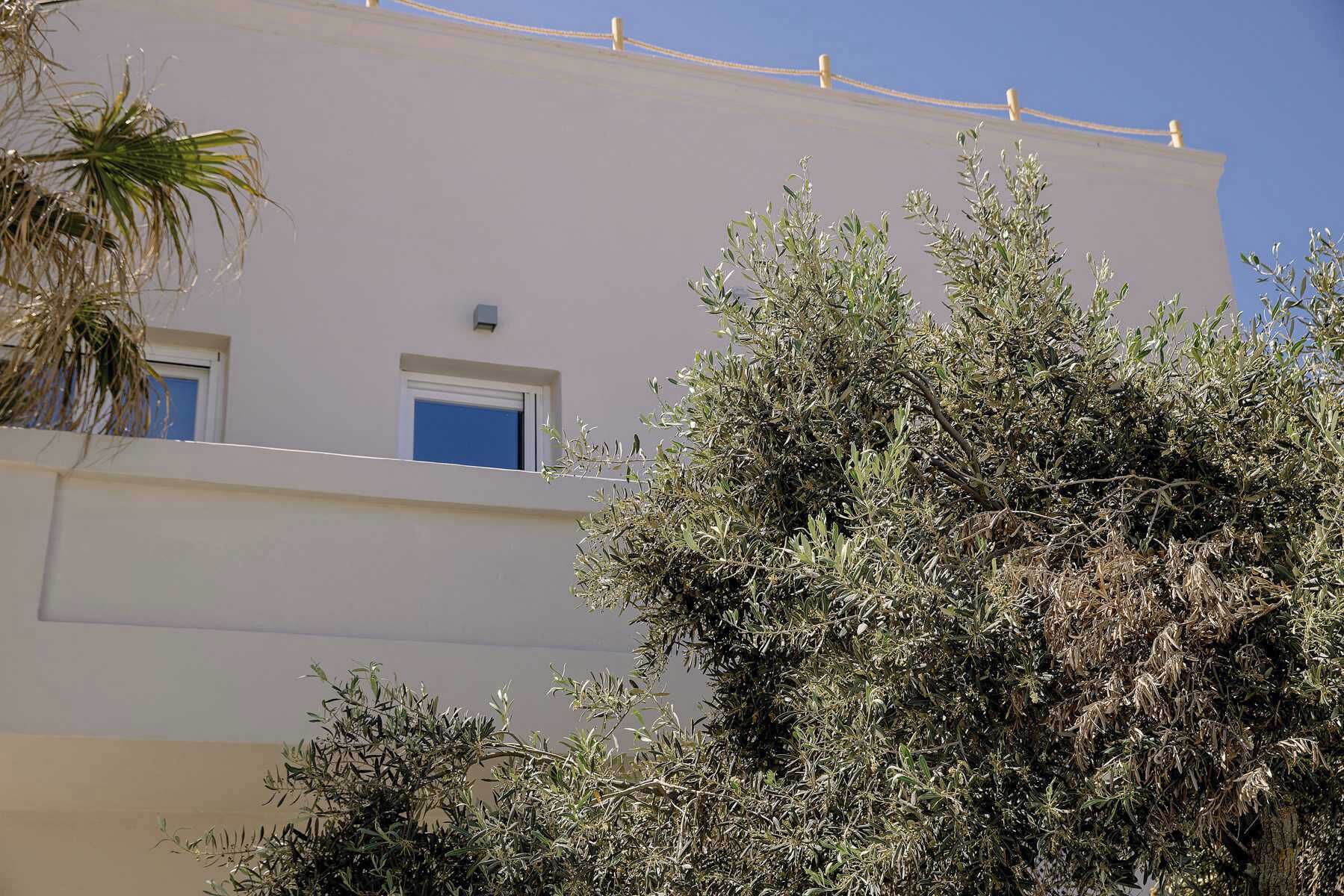 Exterior detail