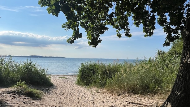 Hiekkainen rantapolku, joka johtaa merelle, ja jonka ympärillä on vehreää kasvillisuutta ja puita.