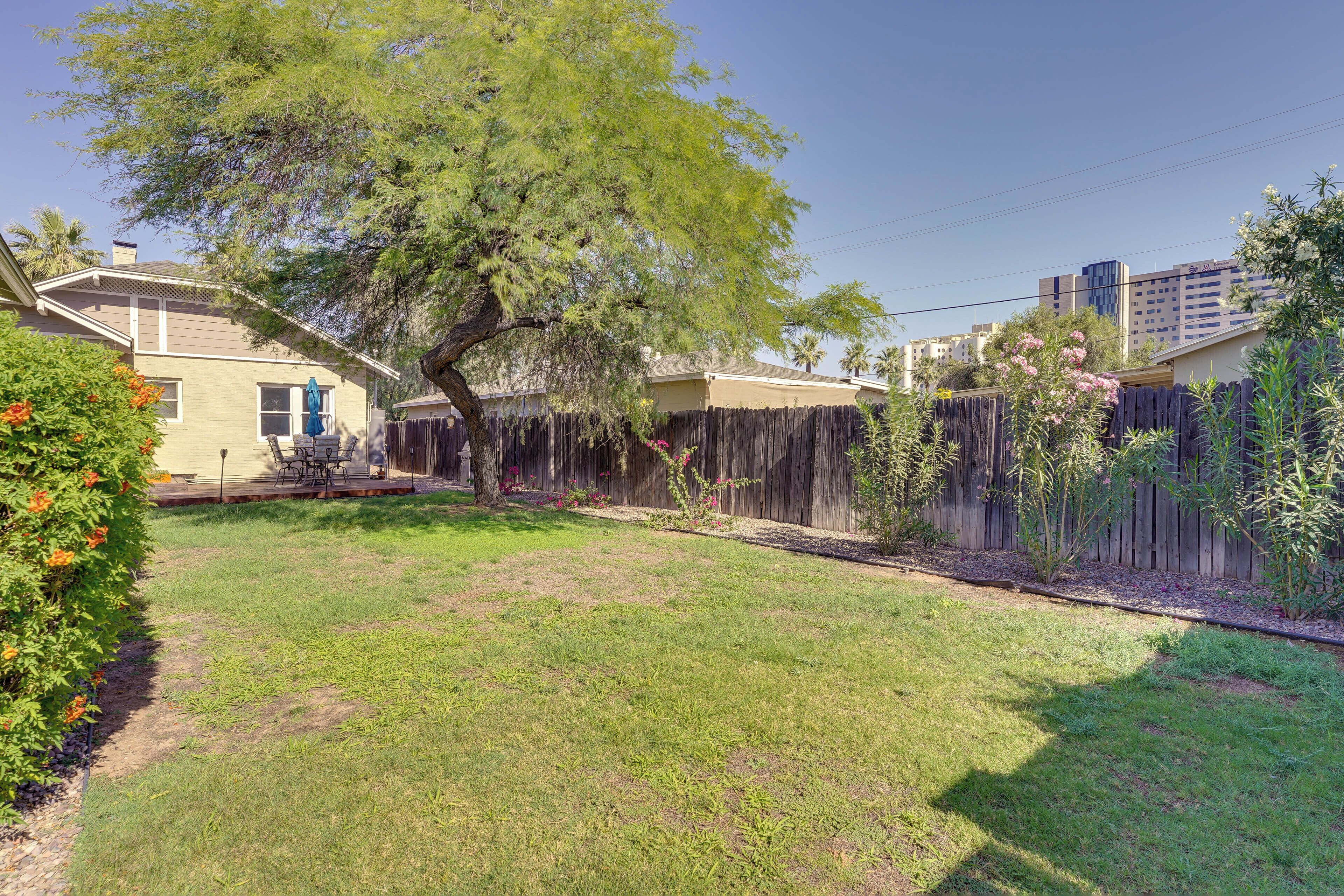 A residential backyard with a tree, a wooden fence, and a patio area.