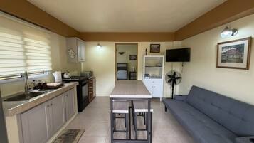 A compact living space with a kitchenette, dining area, and a sofa.