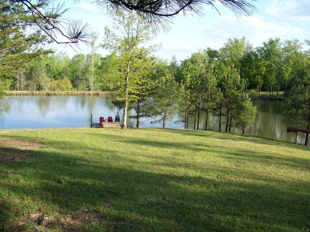 A grassy area with a lake, trees, and a wooden dock.