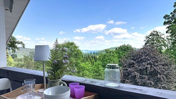 A wooden tray with a book, a lamp, a vase with flowers, and a glass jar on a balcony with a view of greenery and hills. - Wonderful private villa for 6 guests with WIFI and patio (Bärental)