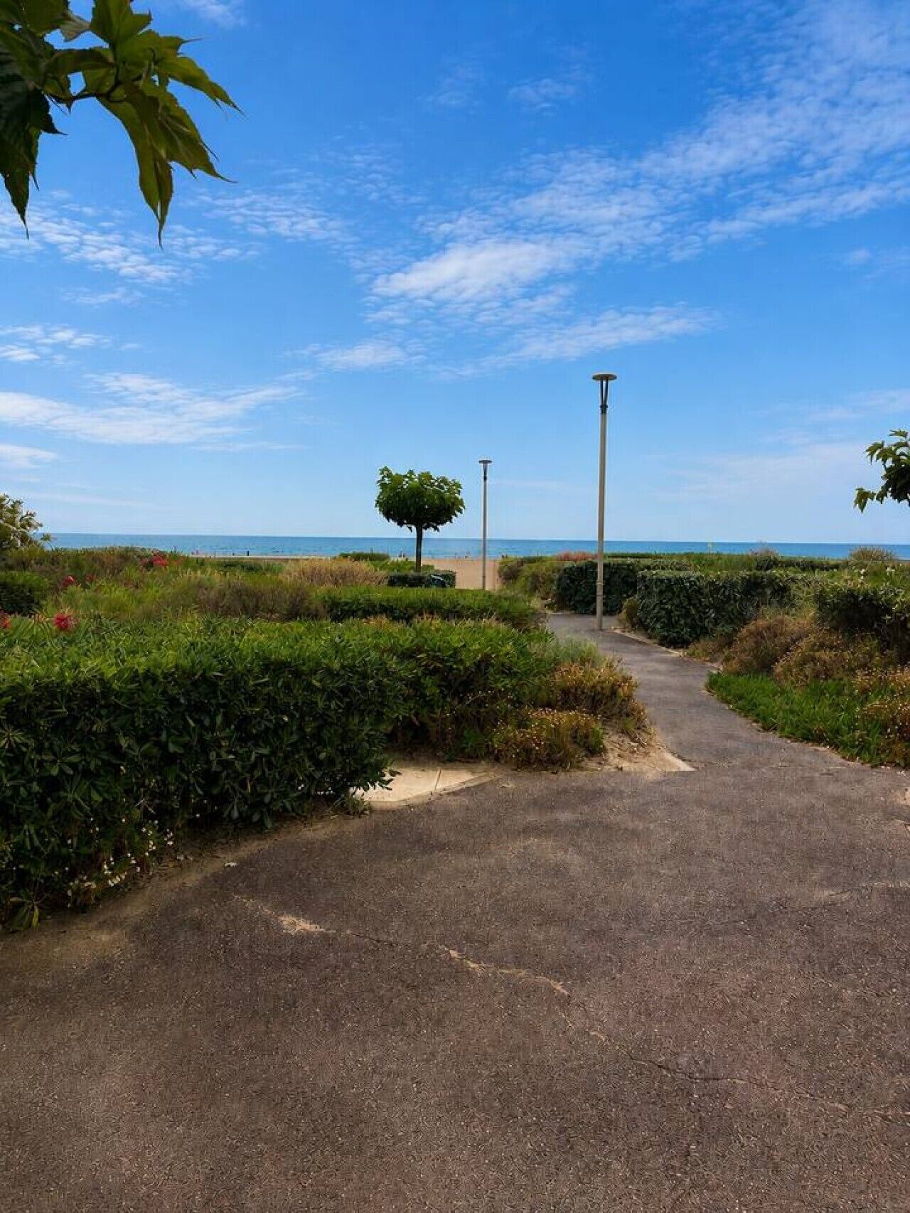 A paved pathway leading to a beach with a clear sky and distant ocean view.