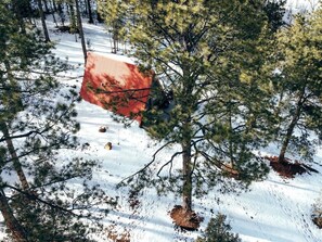 A red-roofed building surrounded by snow-covered ground and pine trees.