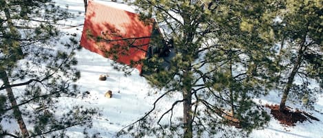 施設の敷地