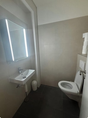 A small bathroom with a sink, mirror, toilet, and a trash bin. - Cozy and Modern Apartment in a Great Location (Lausanne)
