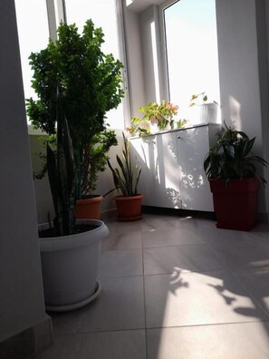 A corner of a room with potted plants, a window, and a tiled floor. - SeaSide Apartments (Sarande)