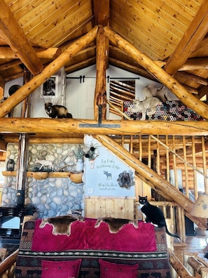 L’intérieur d’un chalet rustique, avec des poutres en bois, un mur en pierre, une cheminée et une enseigne indiquant qu’il s’agit d’un refuge pour l’observation de la faune.