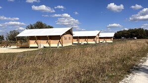 A row of simple, single-story cabins with white roofs, set in a grassy field with a clear sky.