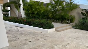 Un patio de concreto con escalones que conducen a un muro blanco, rodeado de follaje y una escalera.