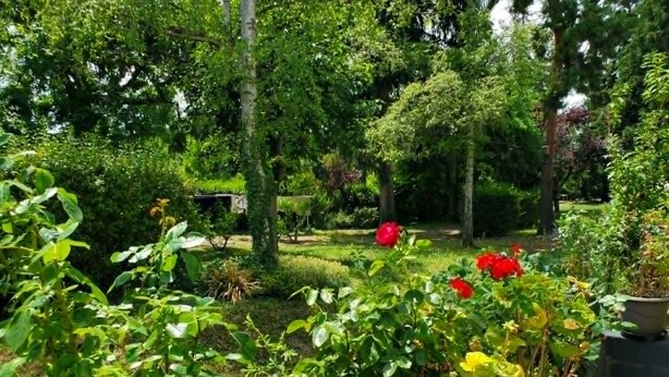 Un jardí amb diverses plantes i arbres, incloent-hi flors vermelles i un prat ben cuidat.