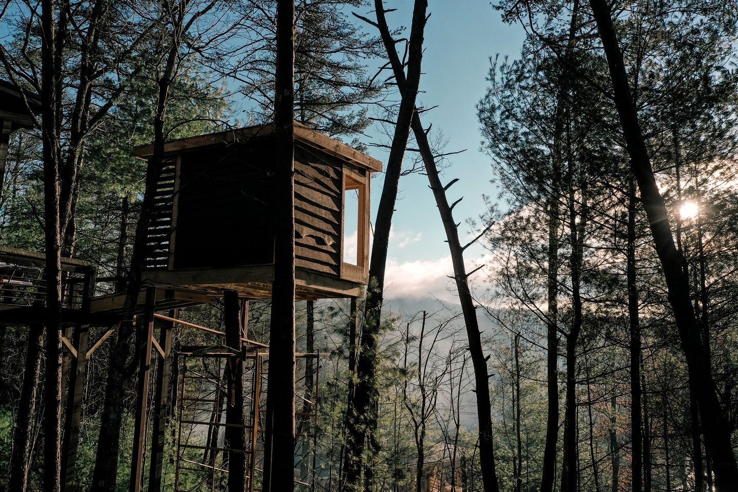 A wooden lookout tower in a forest with a clear sky.