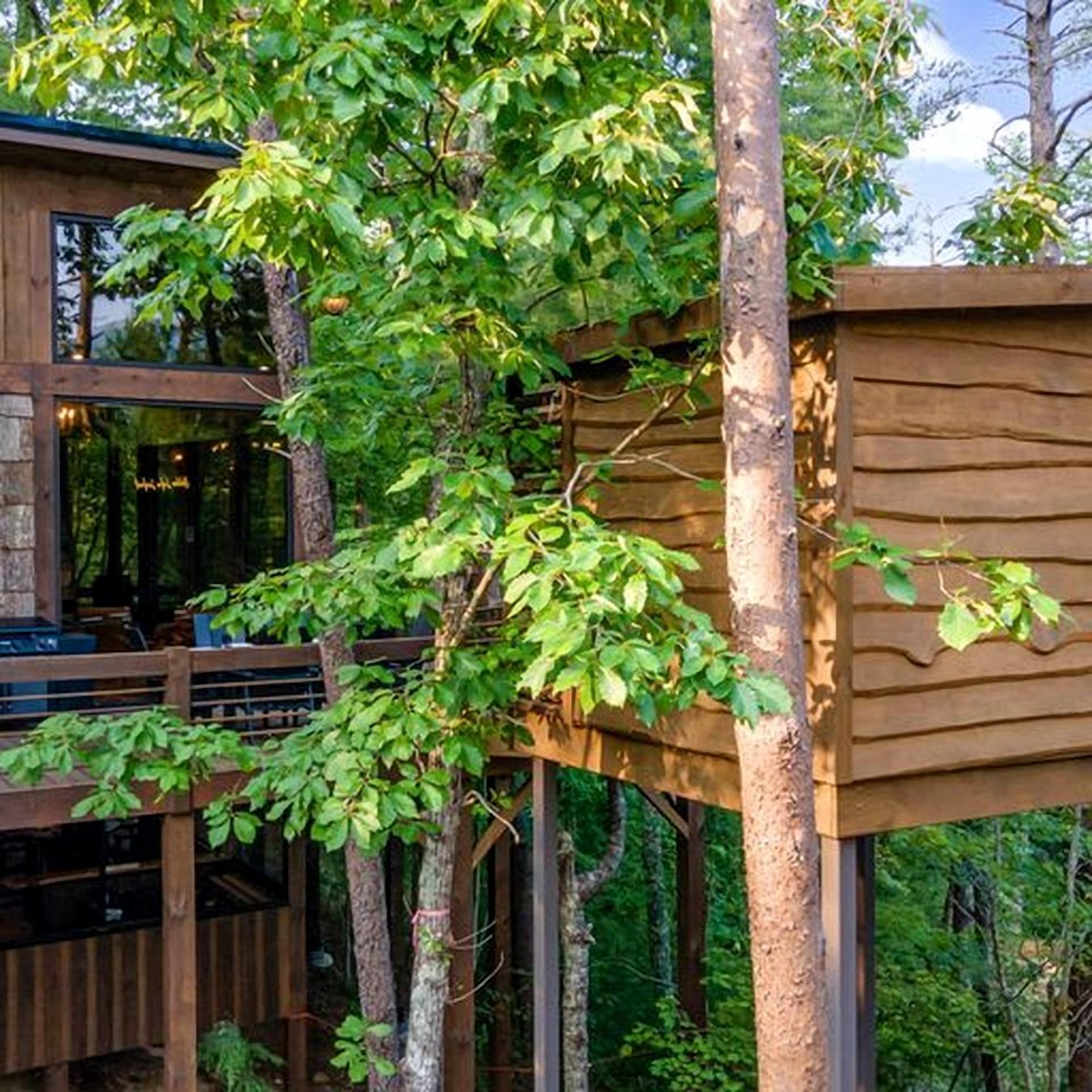 A wooden deck with a view of a building and surrounding trees.