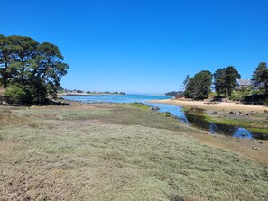 Paisagem costeira com praia, árvores e céu claro.