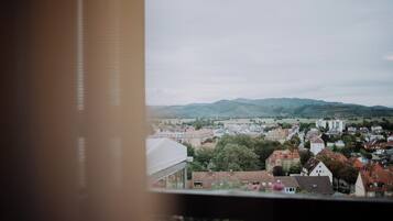 Superior Suite, Mountain View | Terrace/patio