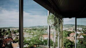 A room with a large window overlooking a cityscape, a hanging plant, and a table set for dining.