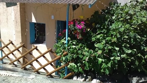 Un bâtiment avec un toit en tôle ondulée, une échelle en bois et un arbuste vert orné de fleurs roses.