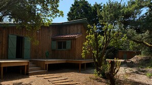 Eine Holzhütte mit einer Veranda, einem kleinen Fenster und einer Tür mit Fensterläden.