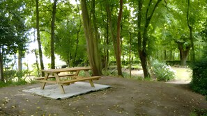 Ein Picknicktisch in einem bewaldeten Gebiet mit einem Feldweg.