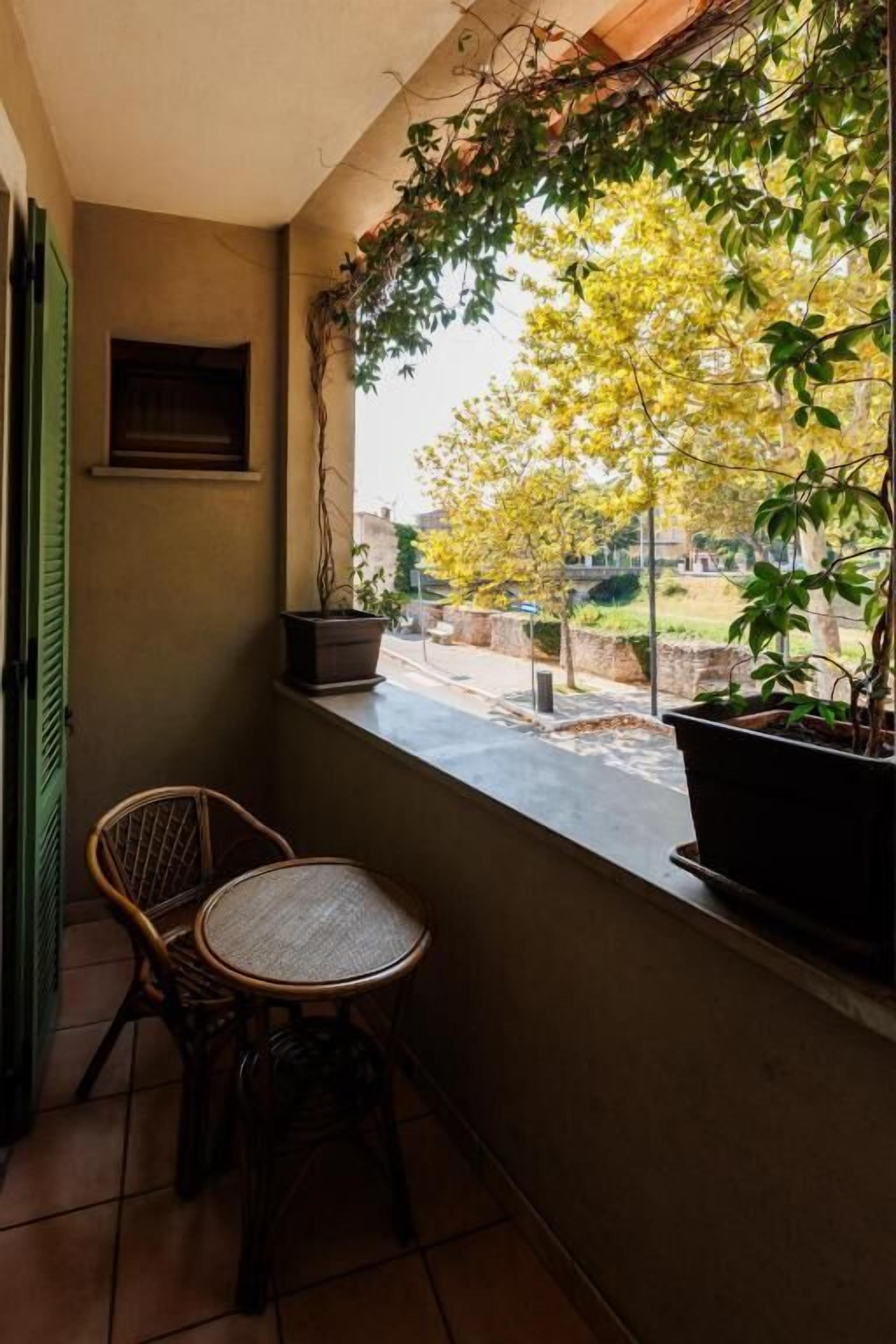 A balcony with a view of a tree, a chair, and a potted plant.