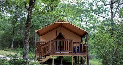 Great Small Group Safari Tent in Livingston, Texas
