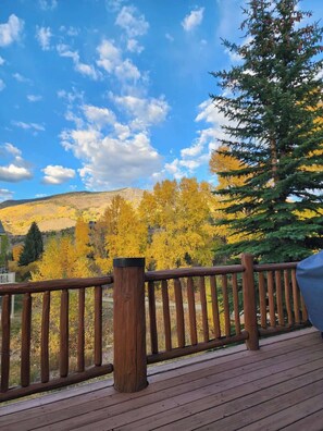 Eine Holzterrasse mit Geländer, mit Blick auf eine Landschaft mit herbstlich gefärbten Bäumen und blauem Himmel.
