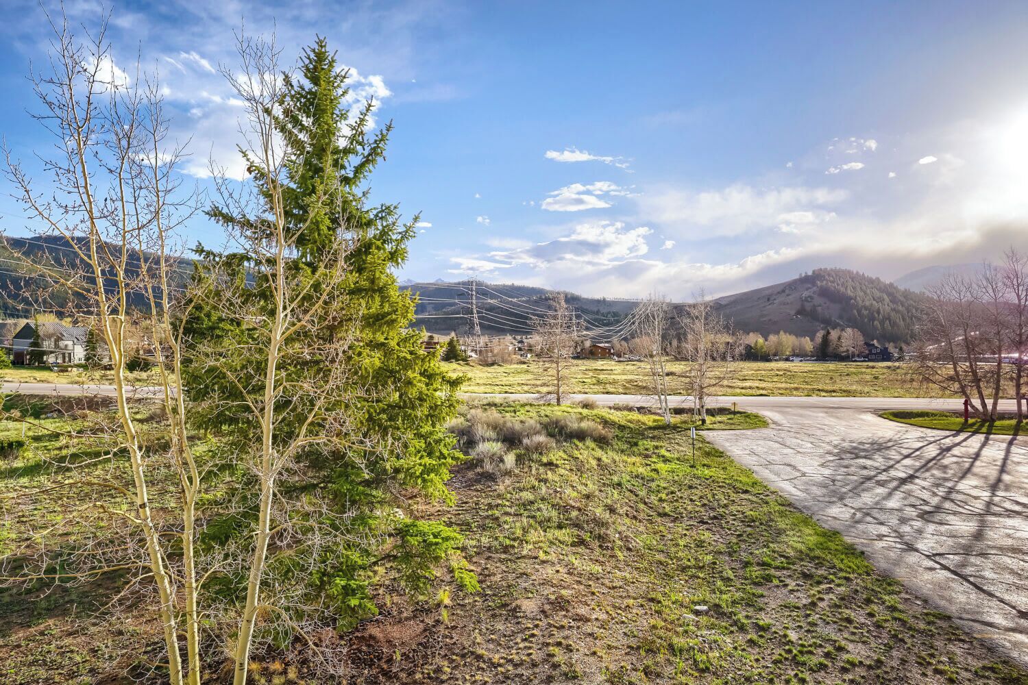 Een landelijk landschap met een weg, bomen en verre bergen.