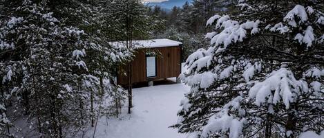 A cabin surrounded by snow-covered trees, with a clear view of the mountains in the background.