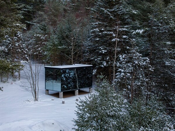 Un moderno edificio de cristal en un bosque nevado.