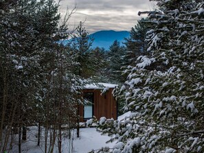 Una cabaña rodeada de árboles cubiertos de nieve, con una montaña al fondo.