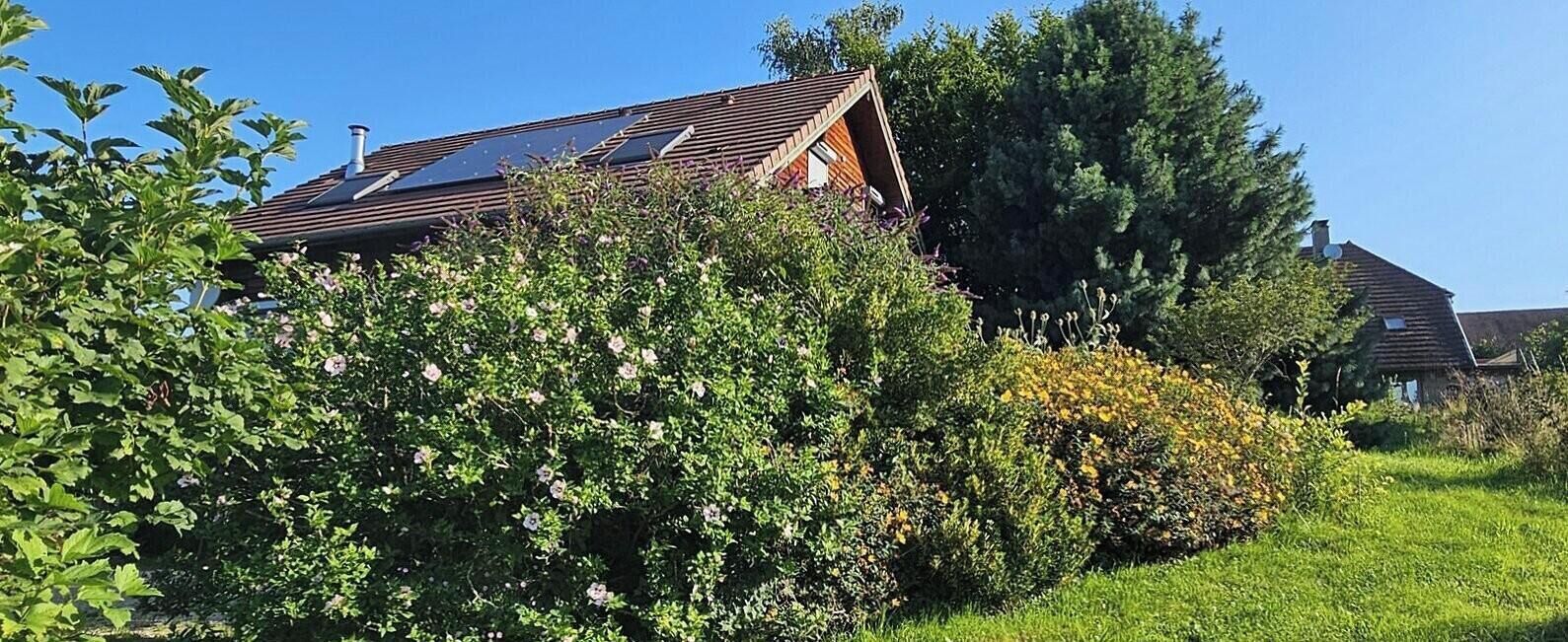Ein Haus mit geneigtem Dach, Solaranlage und dichter Ufervegetation.