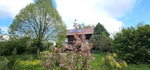 Esterni