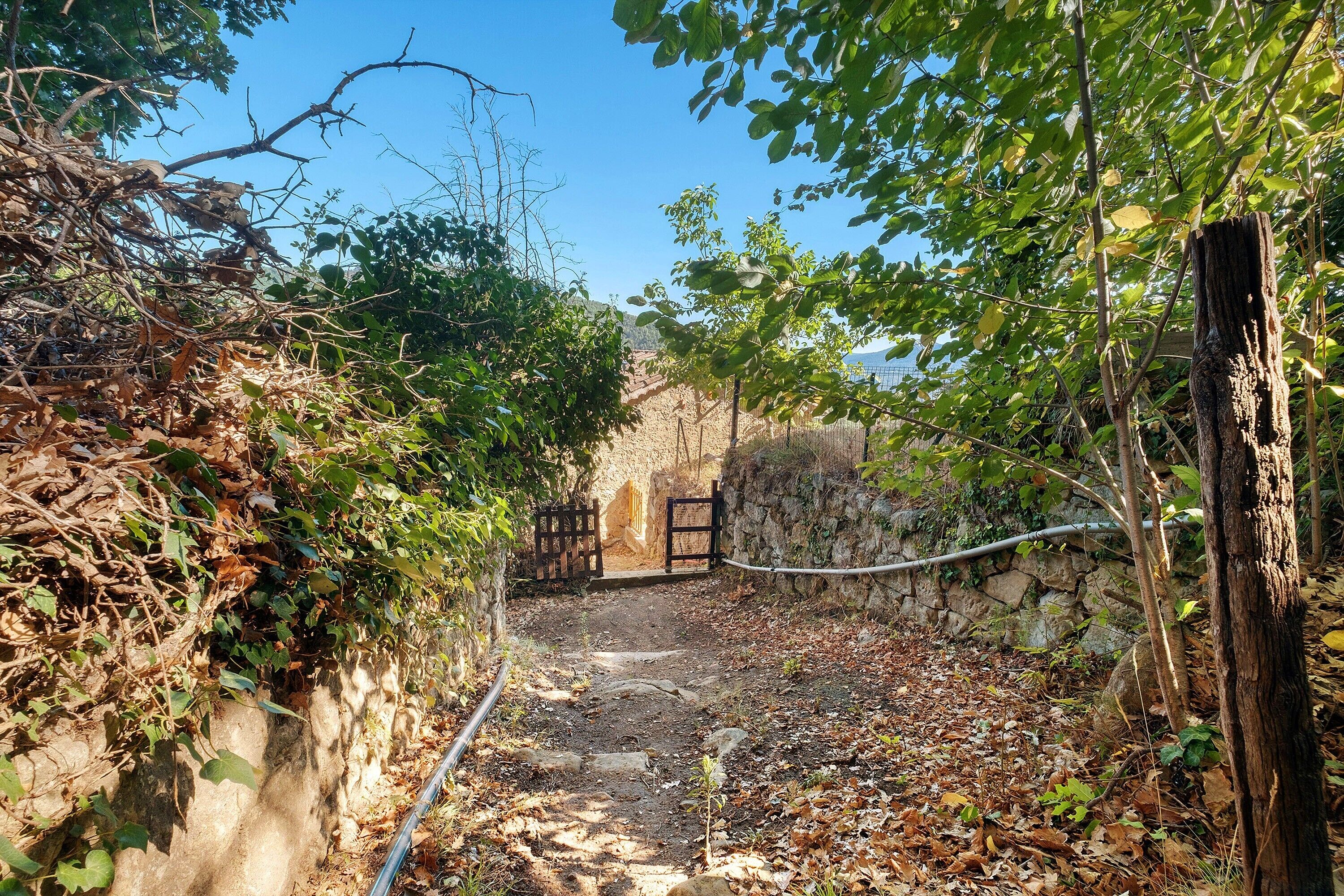 A narrow pathway leading to a stone building with a wooden gate.
