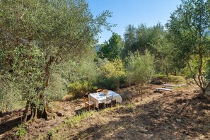 An outdoor dining area with a table and chairs, surrounded by olive trees and vegetation. - La Petite Bergerie in the Meadow – Authenticity, Nature & Panoramic Views (Coaraze)
