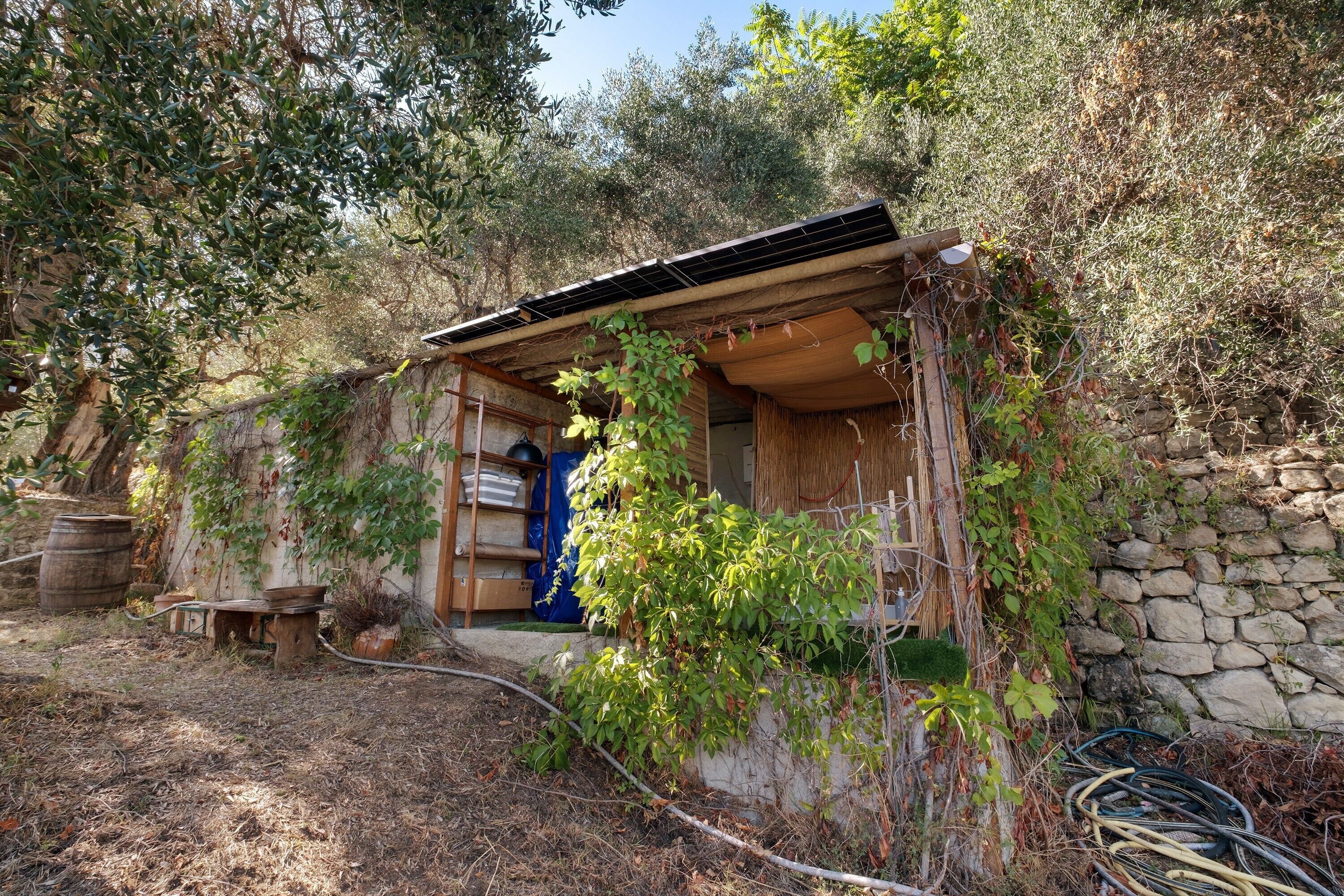 Une structure rustique en plein air, dotée d’un toit en bois, entourée de végétation et bordée d’un mur de pierre.