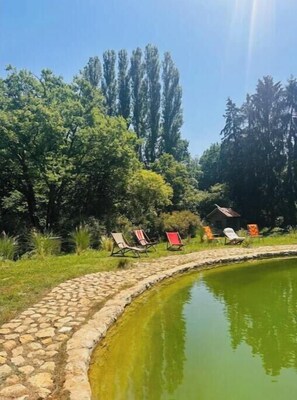 Pool - Le Moulin des Ludes - River, Forest, and Pool (Marçay)