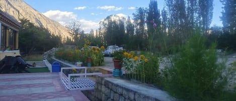 A courtyard with a stone wall, a small pool, and potted plants.