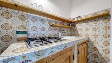 Fridge, stovetop, cookware/dishes/utensils