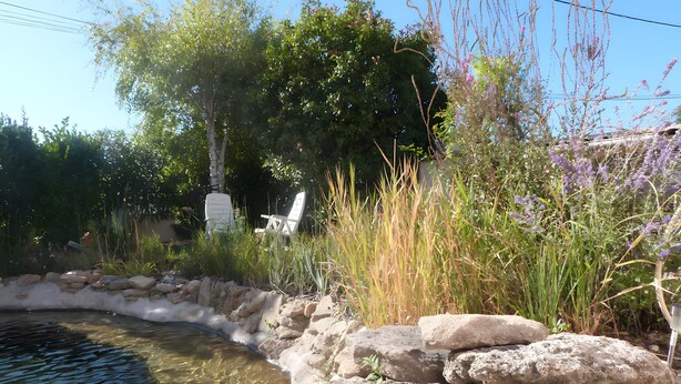 Ein Garten mit Teich, Steinen und einem Stuhl.
