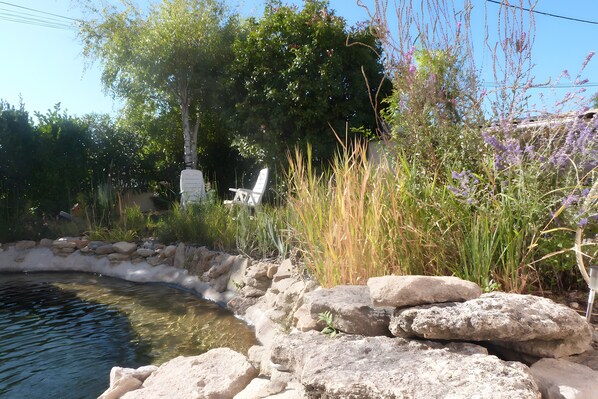 A garden with a pond, rocks, and a chair.