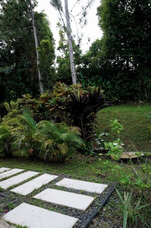 Un jardí amb un camí de pedra, plantes diverses i arbres.