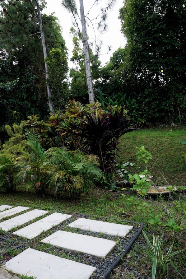 A garden with a stone pathway, various plants, and trees.