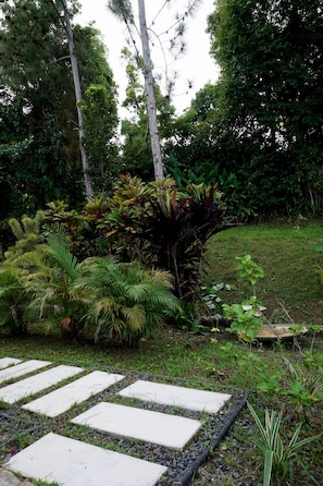 Un jardin avec un chemin de pierres, différentes plantes et des arbres.
